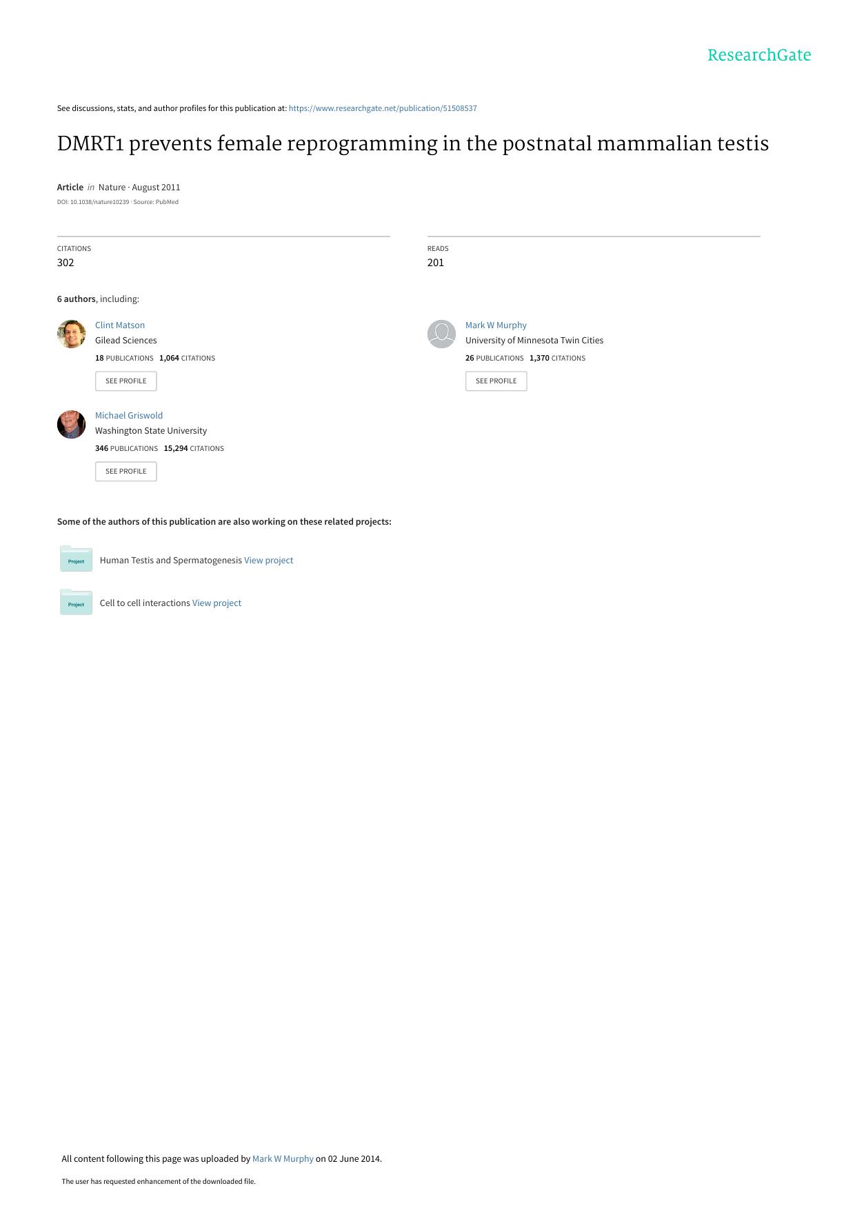 DMRT1 prevents female reprogramming in the postnatal mammalian testis